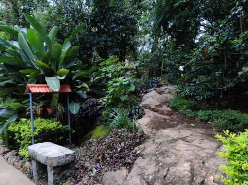 Resorts Booking in kodaikanal