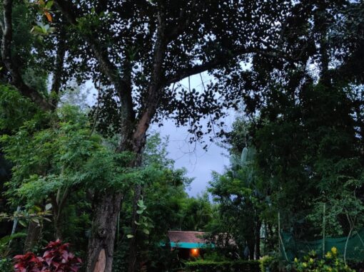 Resorts Booking in Thandigudi