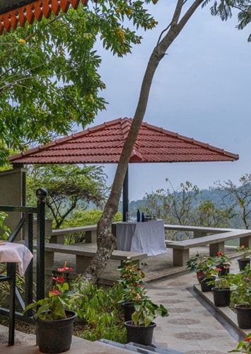 EXPERIENCES image 2 – Tranquil Nests Thandikudi