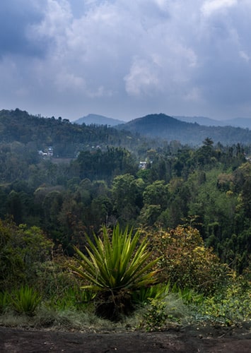 EXPERIENCES image 3 – Tranquil Nests Thandikudi